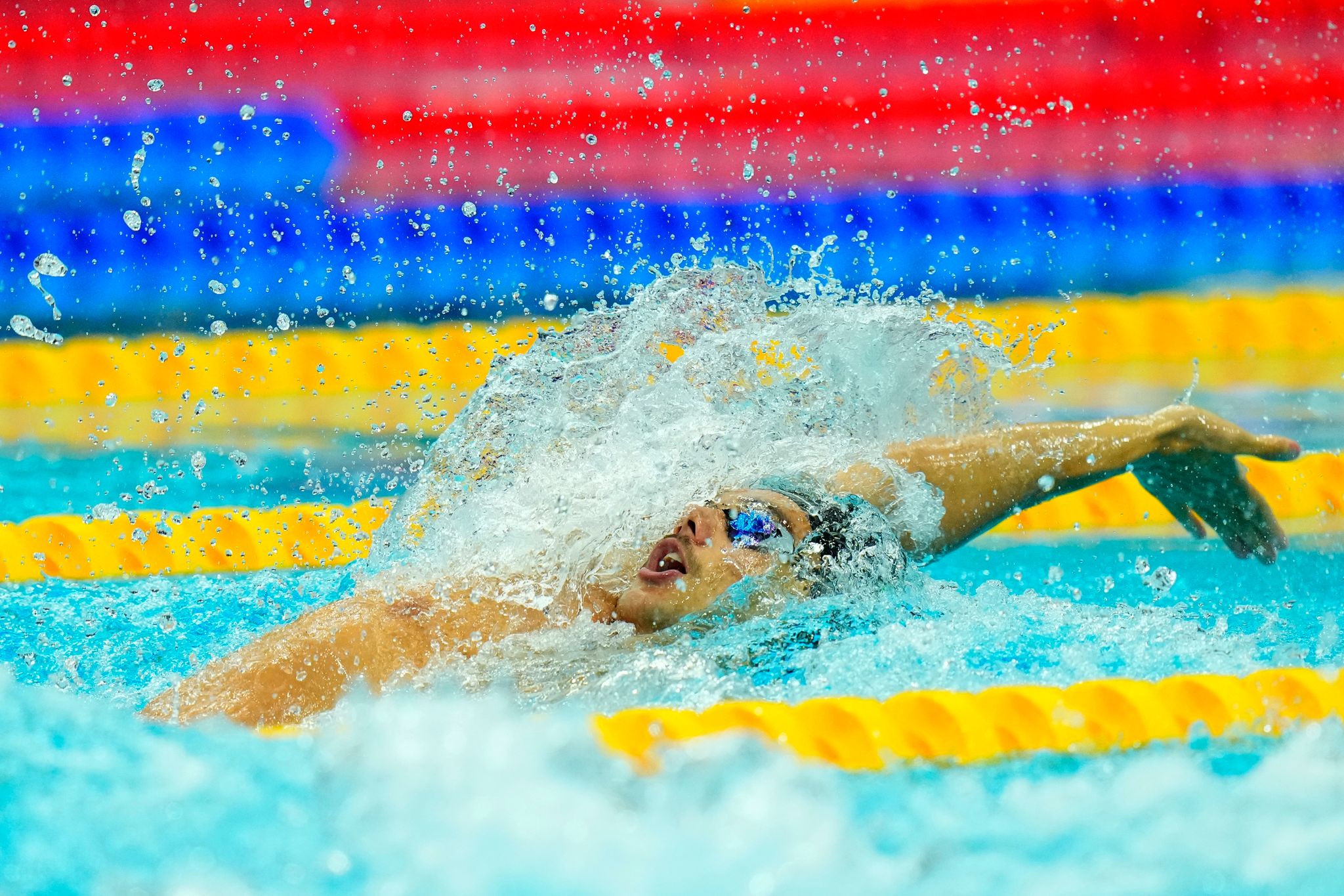 Schwimmt über 100 Meter Rücken Weltrekord: Der Italiener Thomas Ceccon in Aktion.