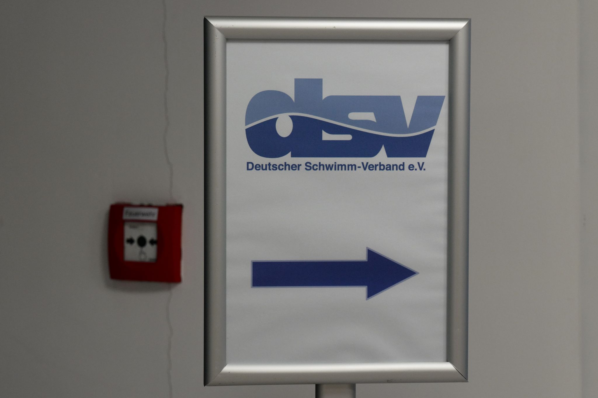 Ein Aufsteller mit dem Logo des Deutschen Schwimm-Verbandes (DSV).
