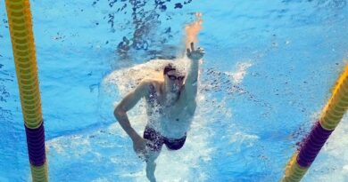 Die Schwimm-EM beeinhaltet Wettkämpfe im Beckenschwimmen, Freiwasserschwimmen, Wasserspringen und Synchronschwimmen