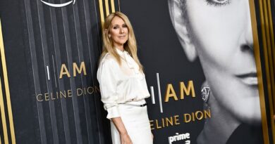 Céline Dion könnte bei der Olympia-Eröffnungsfeier auftreten.