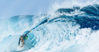 Ein australischer Kampfrichter wurde von den Olympischen Spielen ausgeschlossen, weil er sich mit Topsurfer Ethan Ewing fotografieren ließ.